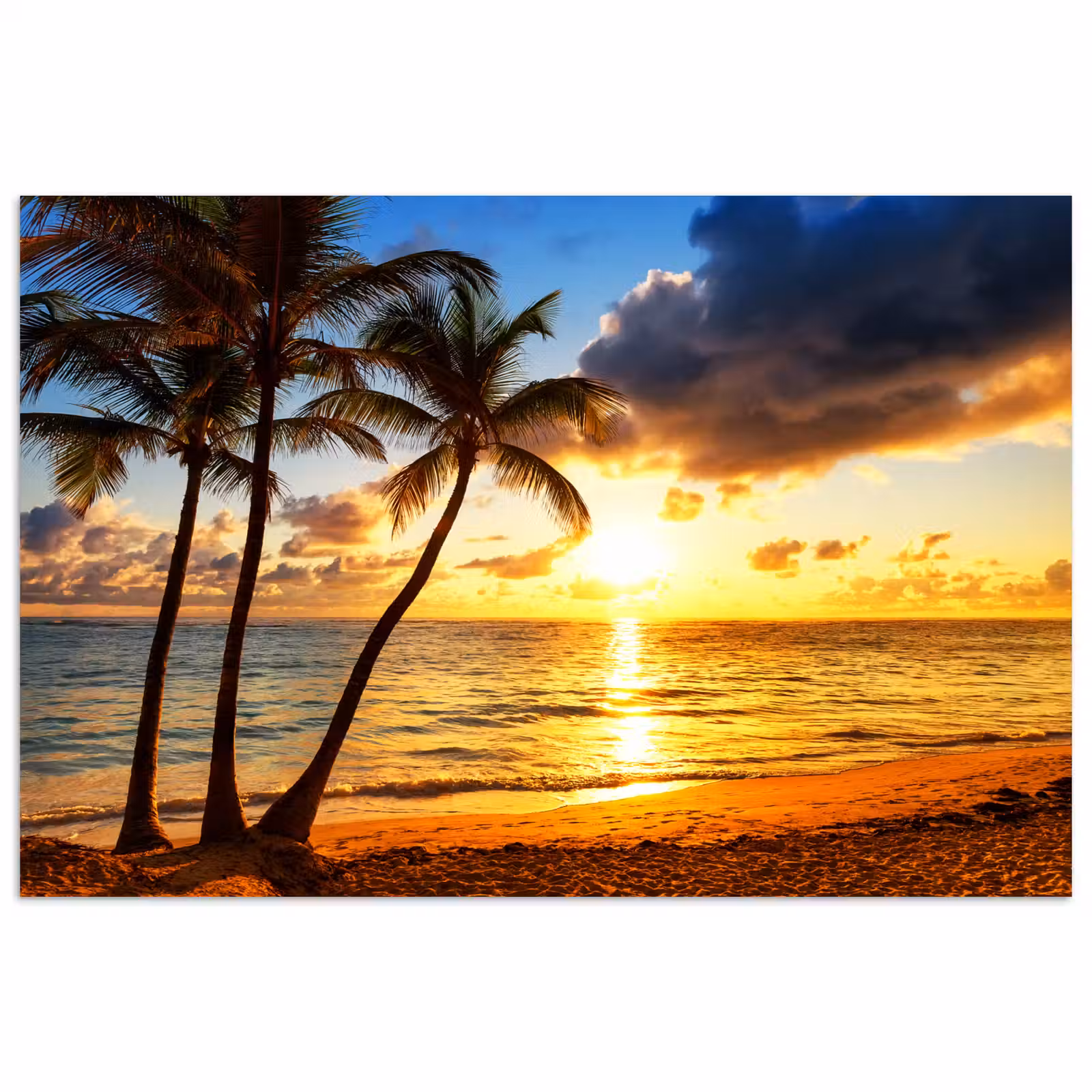 Poster - Strand - Horizon - Zonsondergang - Palmboom - Zee — 1