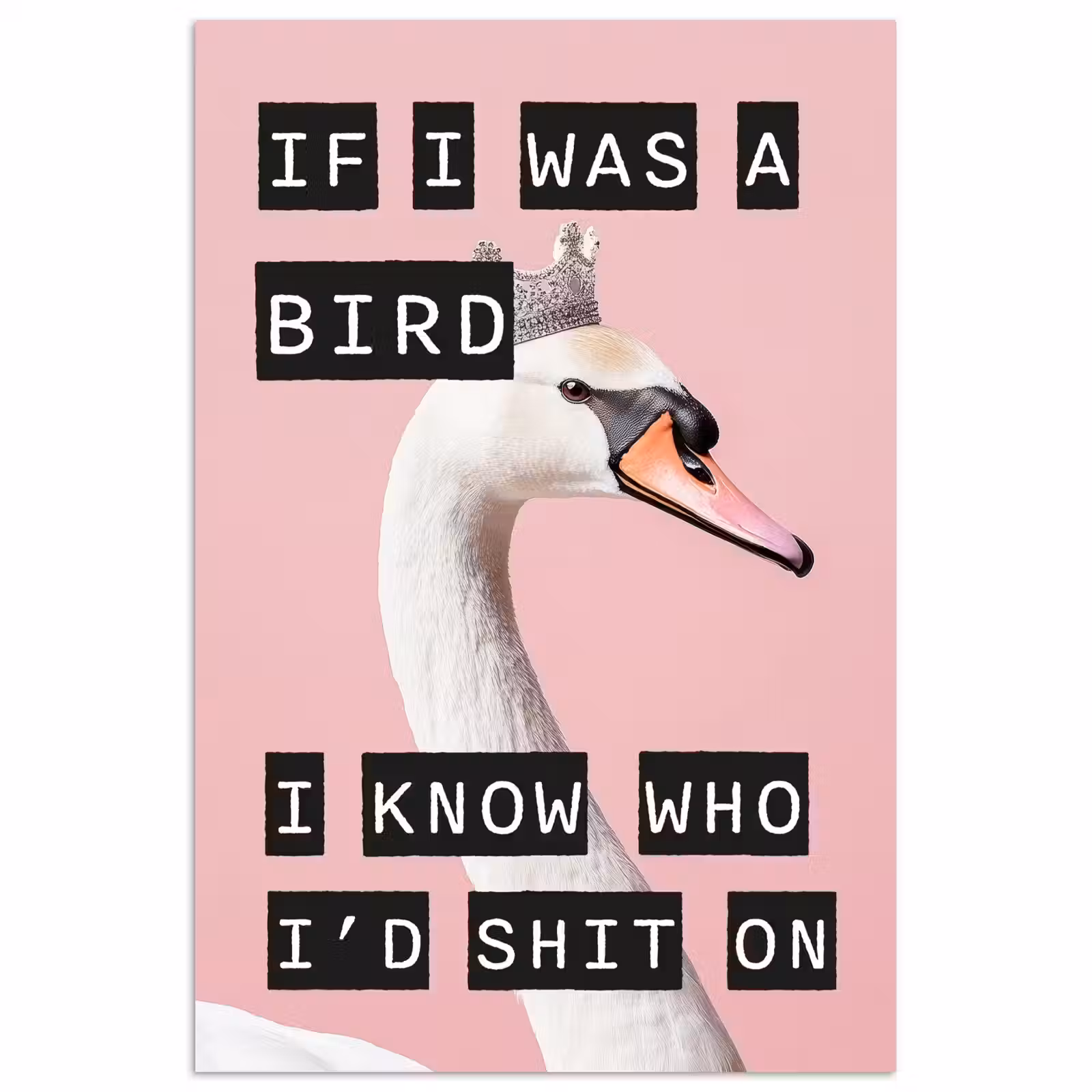 Poster - Zwaan - Vogel - Decoratie - Roze — 1