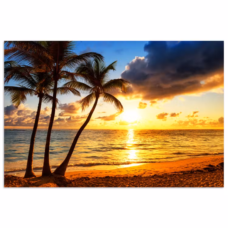 Poster - Strand - Horizon - Zonsondergang - Palmboom - Zee — 1