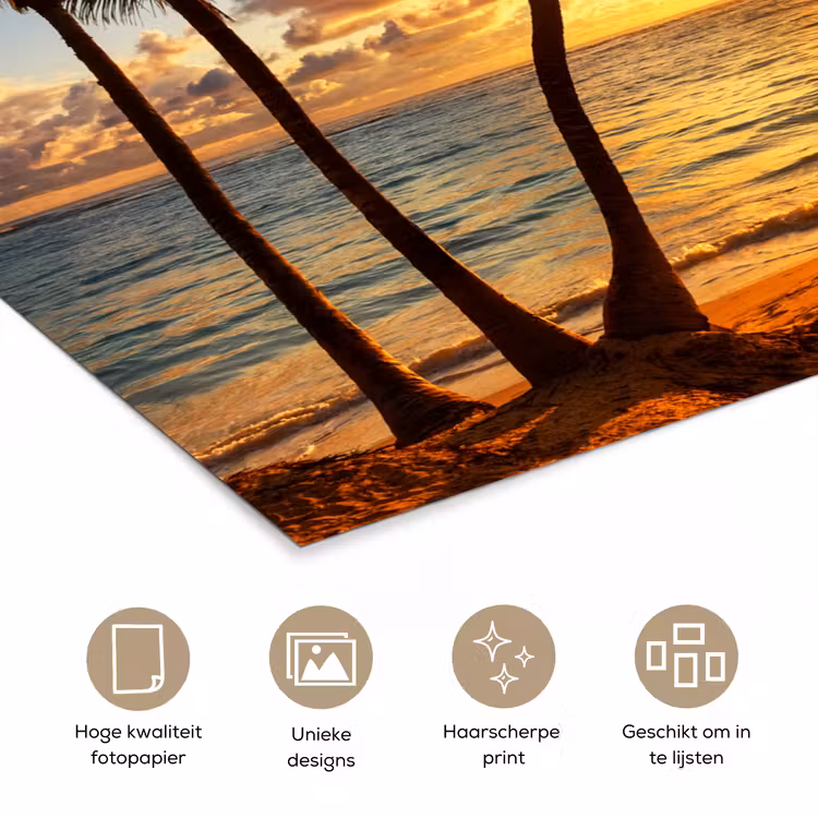 Poster - Strand - Horizon - Zonsondergang - Palmboom - Zee — 5