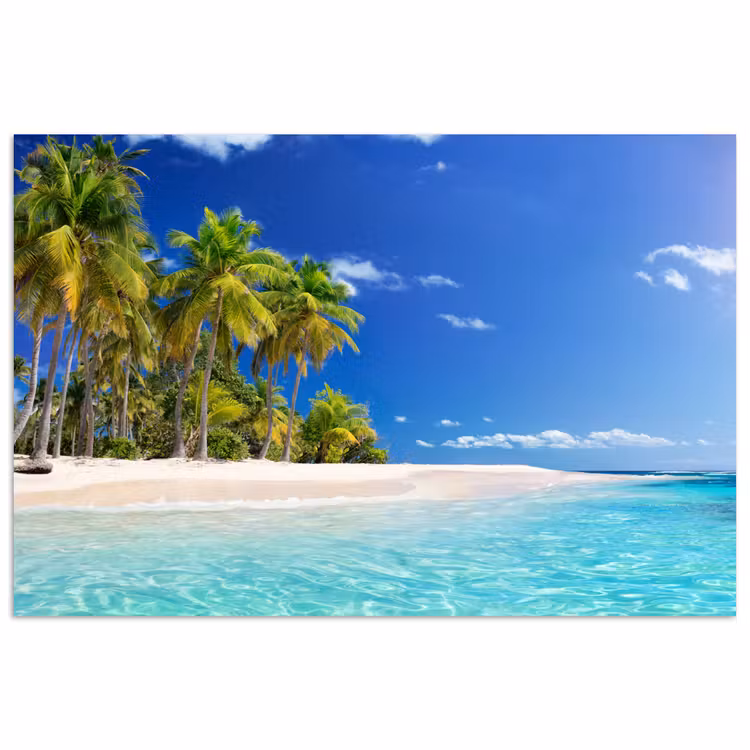 Poster - Strand - Zee - Palmboom - Zon - Zomer — 1