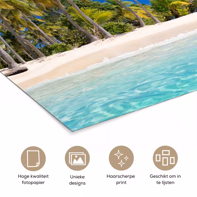 Poster - Strand - Zee - Palmboom - Zon - Zomer — 5