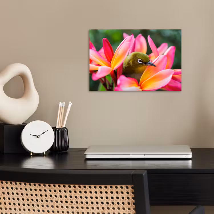 Poster - Tropische vogel tussen roze bloem — 2