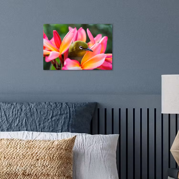 Poster - Tropische vogel tussen roze bloem — 3