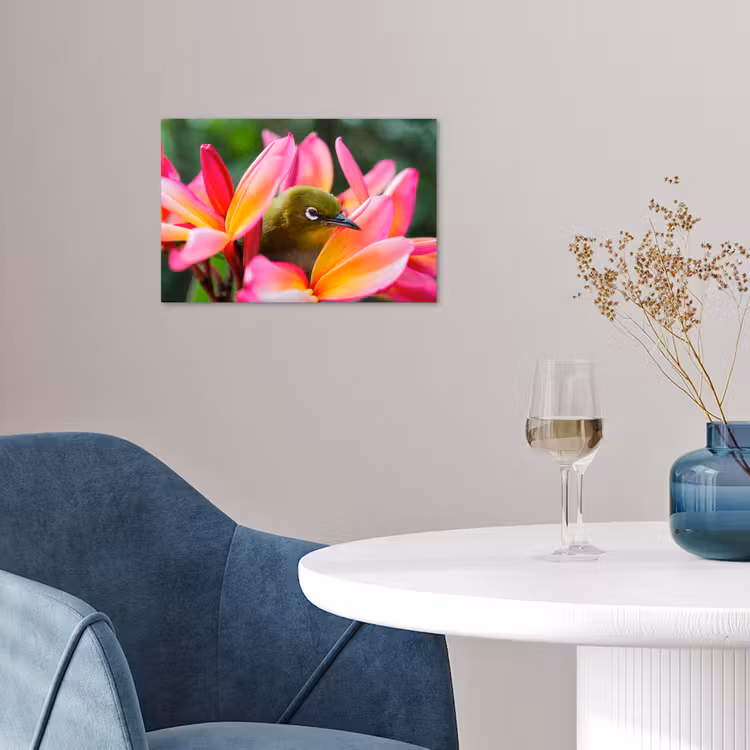 Poster - Tropische vogel tussen roze bloem — 4