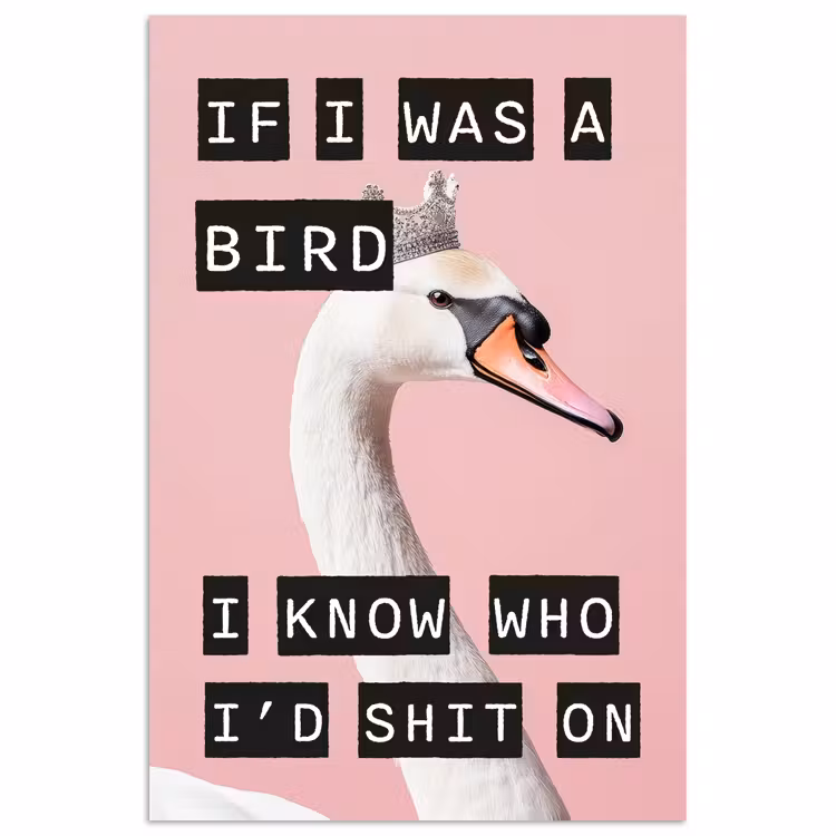 Poster - Zwaan - Vogel - Decoratie - Roze — 1