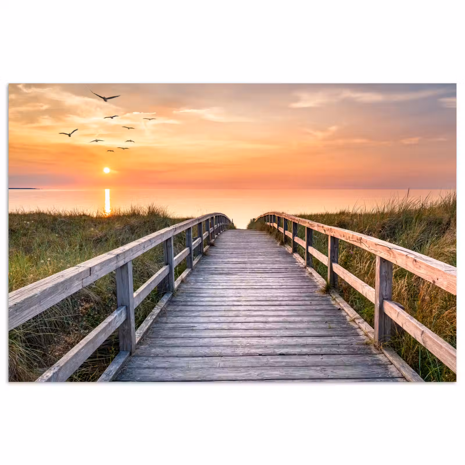 Poster - Zonsonderang - Zee - Pad - Gras - Duin - Vogels — 1
