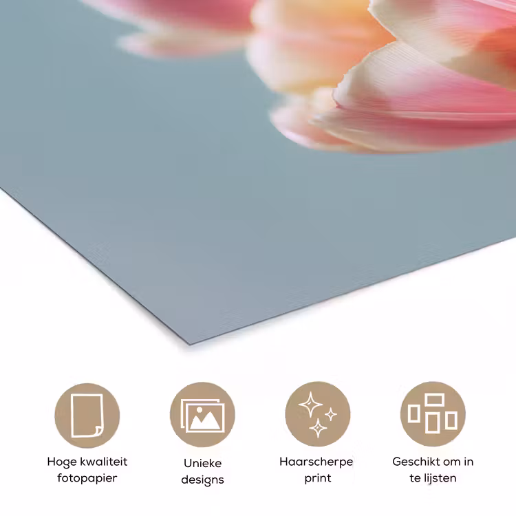 Poster - Tulpen - Roze - Stelen — 5