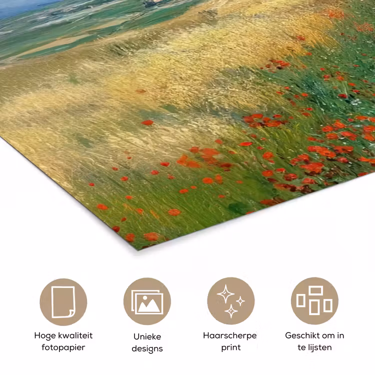 Poster - Zandpad - Huis - Bomen - Grasveld — 5