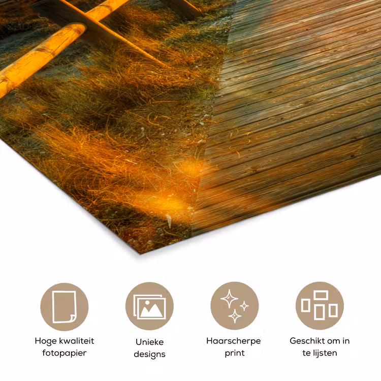 Poster - Zon - Strand - Duin - Horizon - Gras - Pad - Oranje — 5