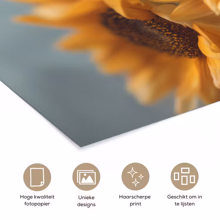 Poster - Zonnebloemen - Geel - Wazig — 5
