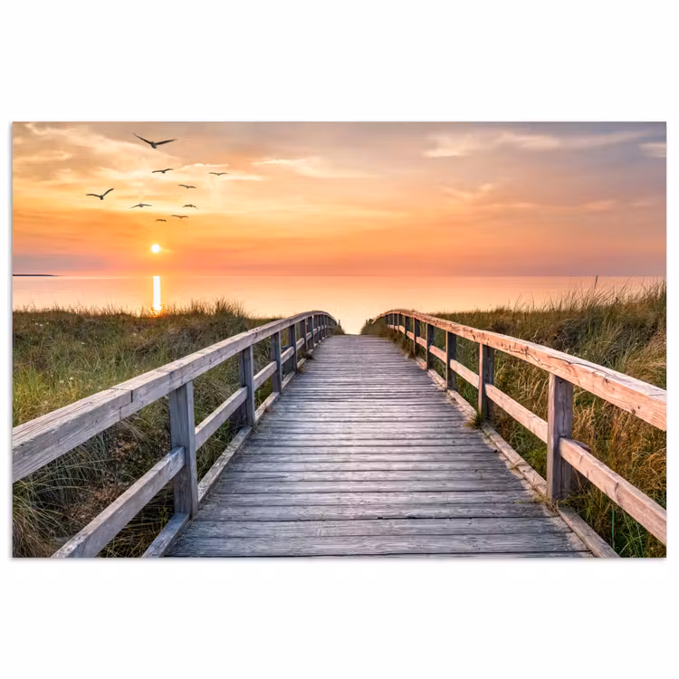 Poster - Zonsonderang - Zee - Pad - Gras - Duin - Vogels — 1