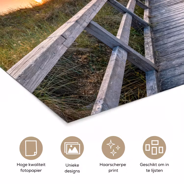 Poster - Zonsonderang - Zee - Pad - Gras - Duin - Vogels — 5
