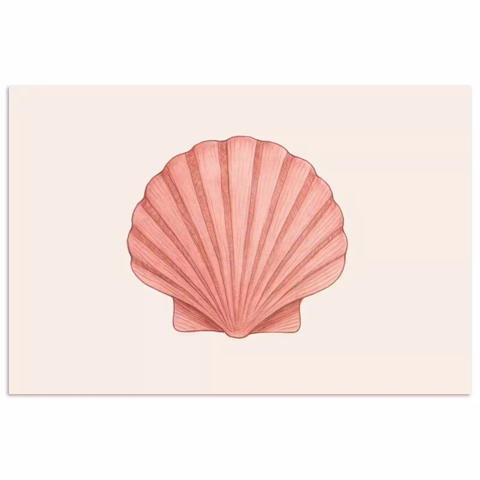 Poster - Schelp - Roze - Ribbels — 1