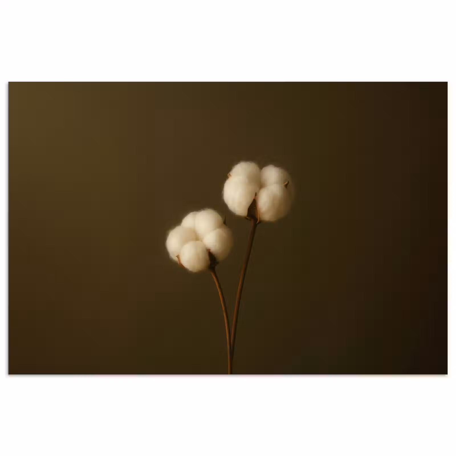 Poster - Takken - Katoen - Wit - Bollen — 1