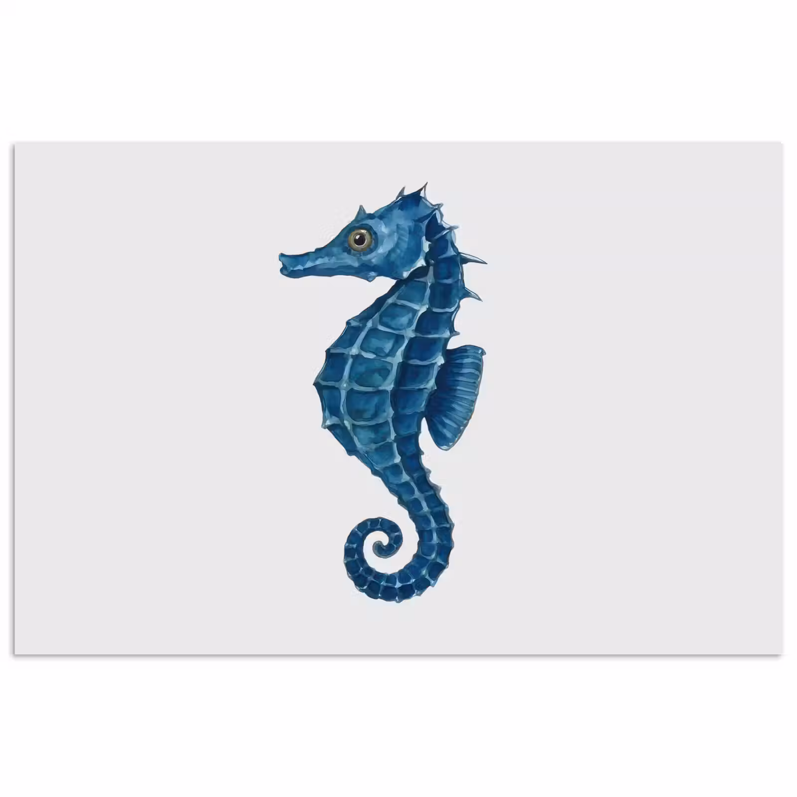 Poster - Zeepaardje - Staart - Blauw — 1