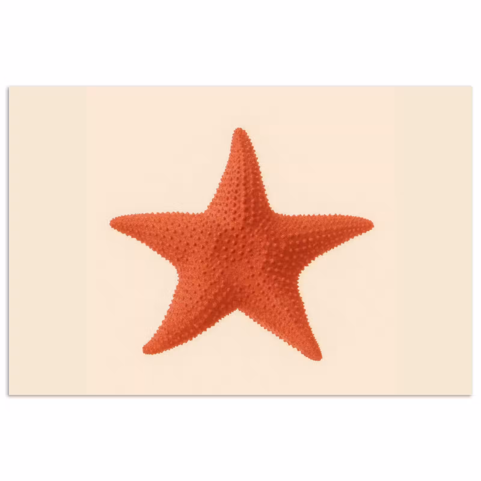 Poster - Zeester - Bobbels - Rood — 1