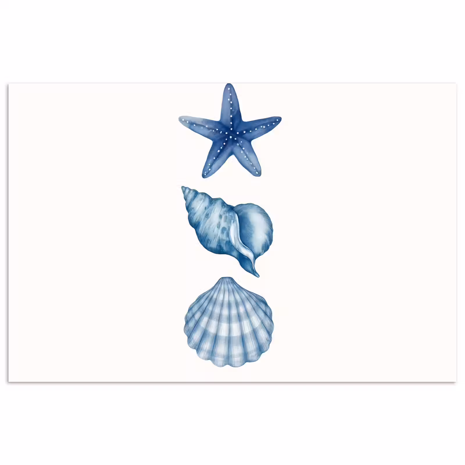 Poster - Zeester - Schelpen - Blauw — 1