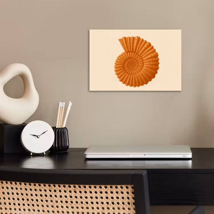 Poster - Schelp - Oranje - Ribbels — 2