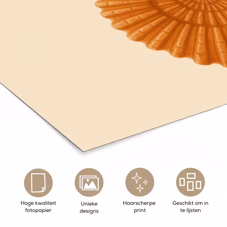 Poster - Schelp - Oranje - Ribbels — 5