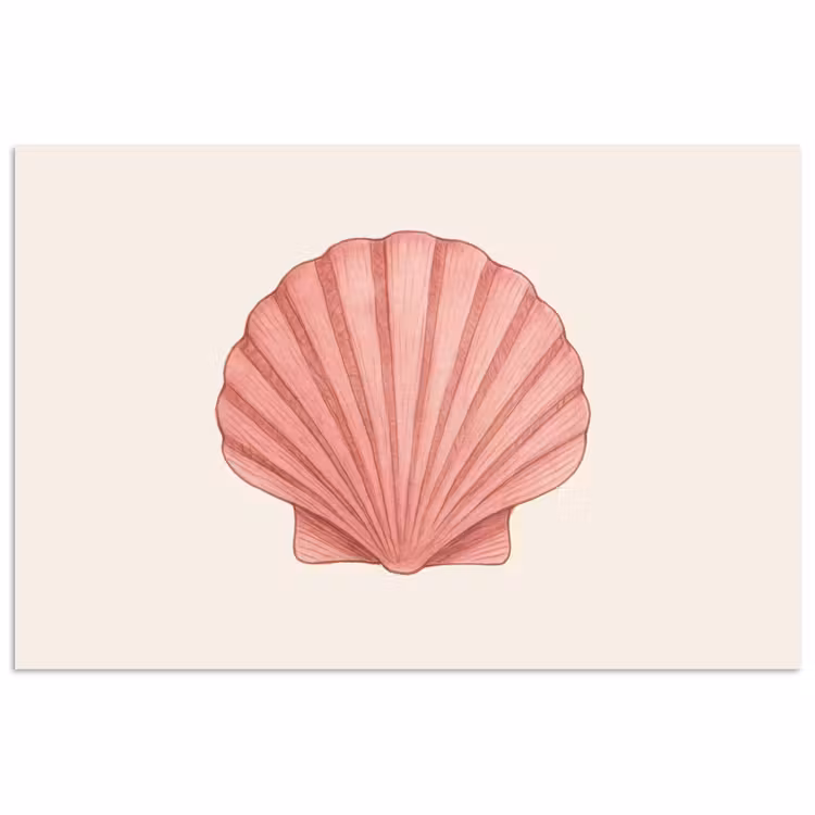 Poster - Schelp - Roze - Ribbels — 1