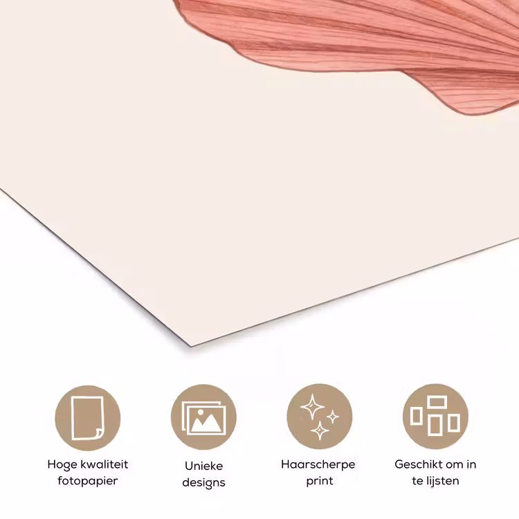 Poster - Schelp - Roze - Ribbels — 5
