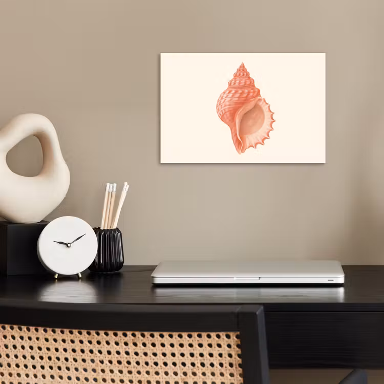 Poster - Schelp - Roze - Structuur — 2