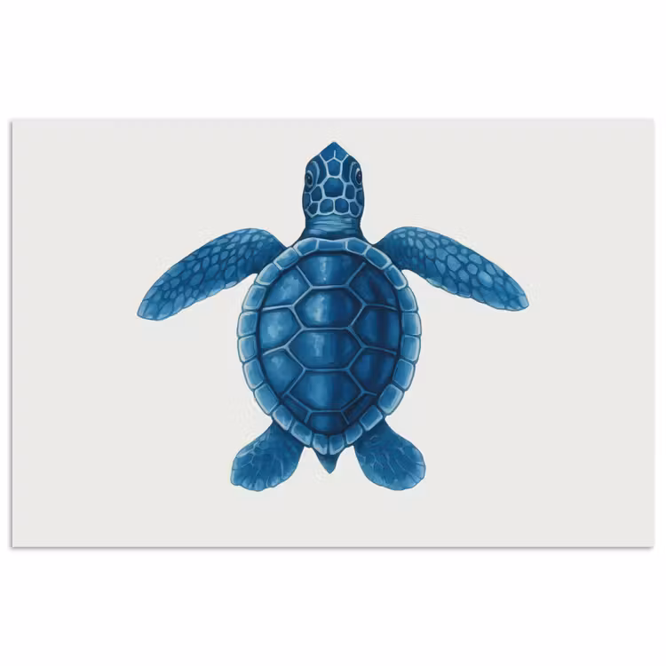 Poster - Schildpad - Blauw - Schild — 1