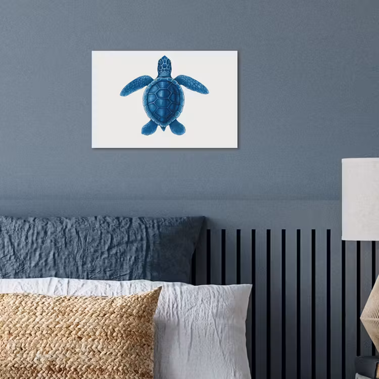 Poster - Schildpad - Blauw - Schild — 3