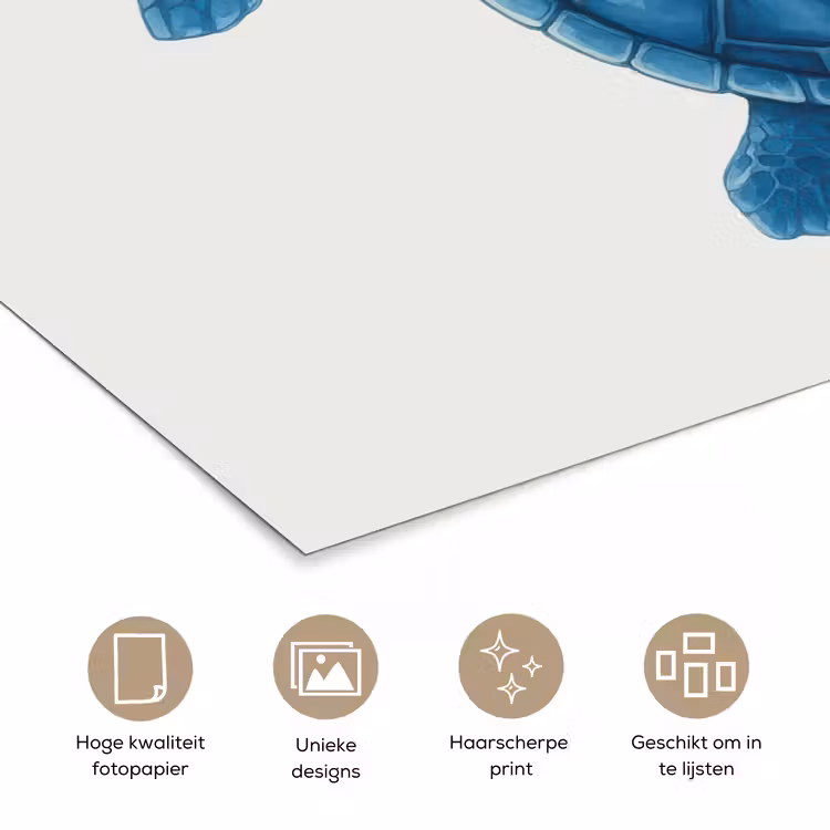 Poster - Schildpad - Blauw - Schild — 5