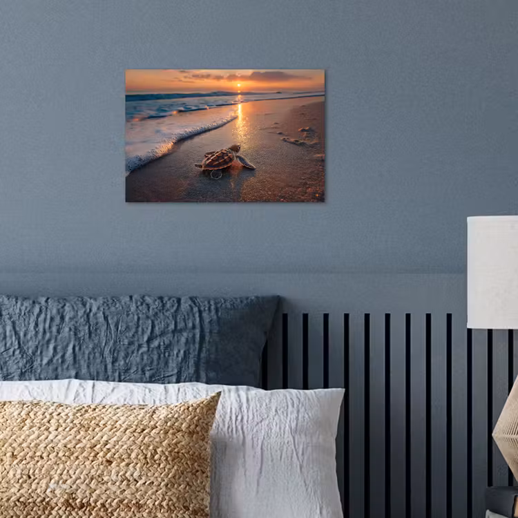 Poster - Schildpad - strand - Zonsondergang — 3