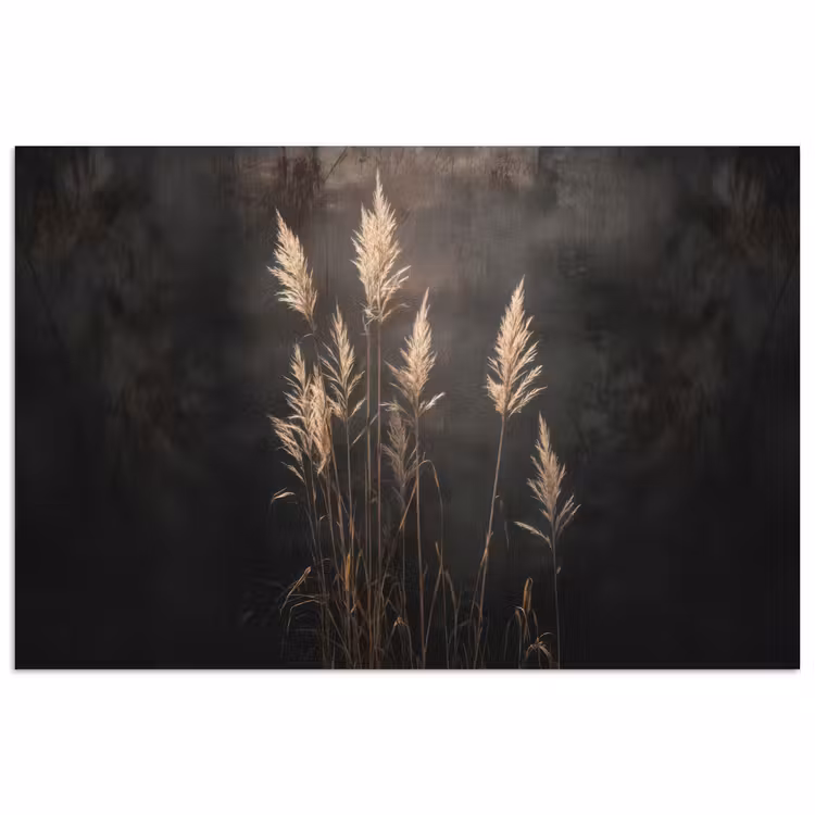 Poster - Siergras - Pluimen - Verlichting - Zwart — 1