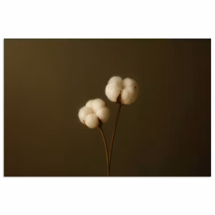 Poster - Takken - Katoen - Wit - Bollen — 1