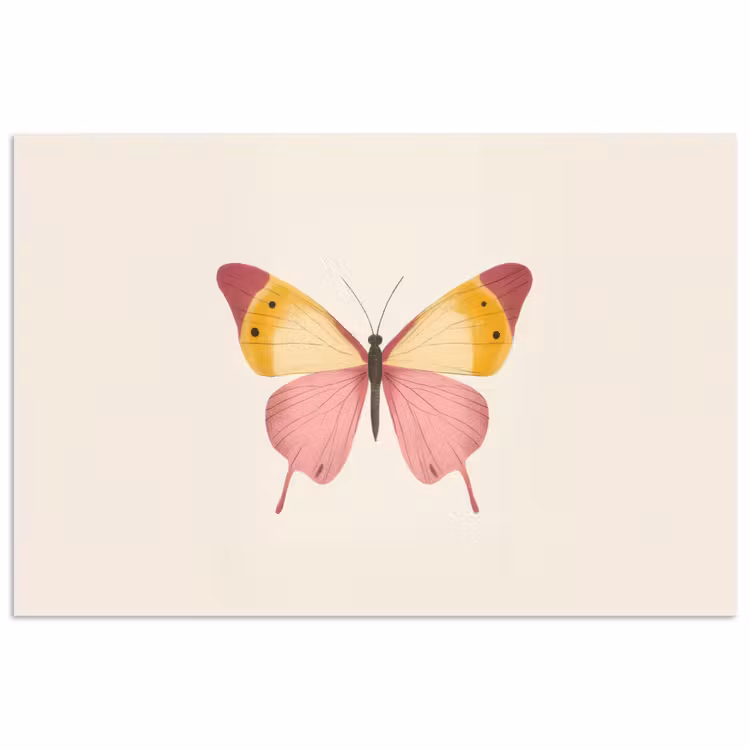 Poster - Vlinder - Illustratie - Roze — 1