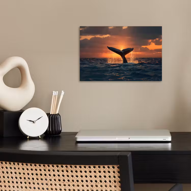 Poster - Walvis staart - Water - Zonsondergang — 2