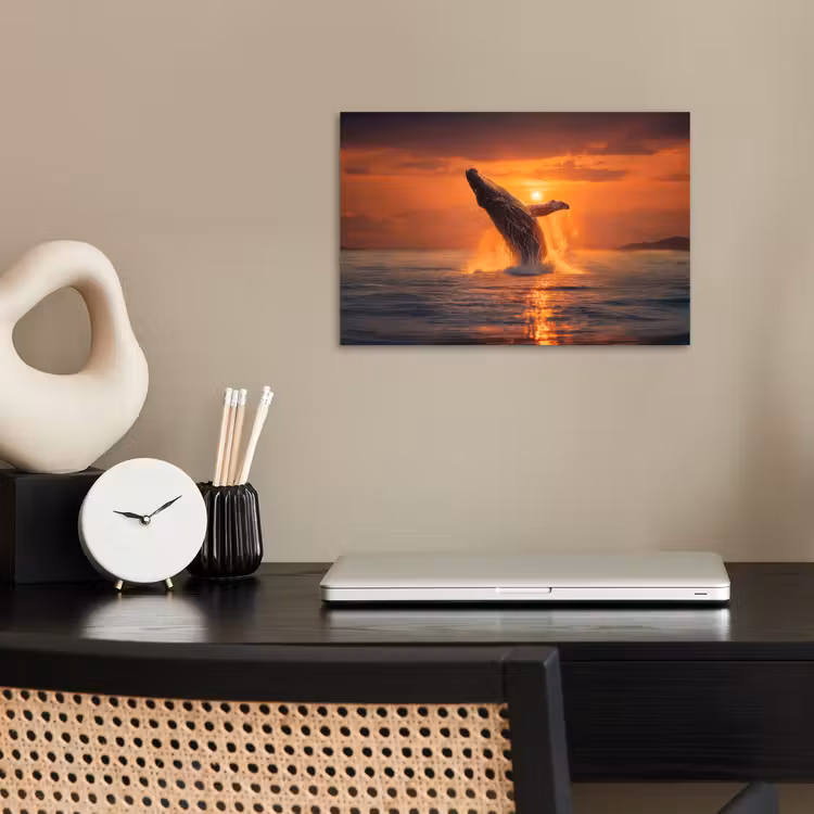Poster - Walvis - Zon - Zee — 2