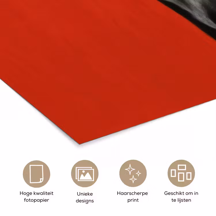 Poster - Windhond - Minimalistisch - Rood — 5