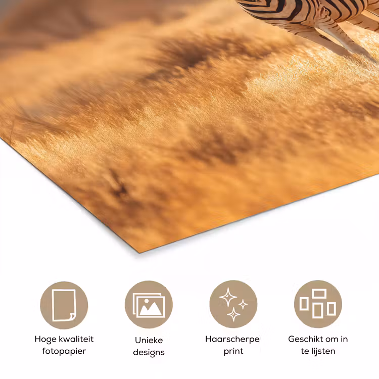 Poster - Zebra's - Savannelandschap - Gras — 5