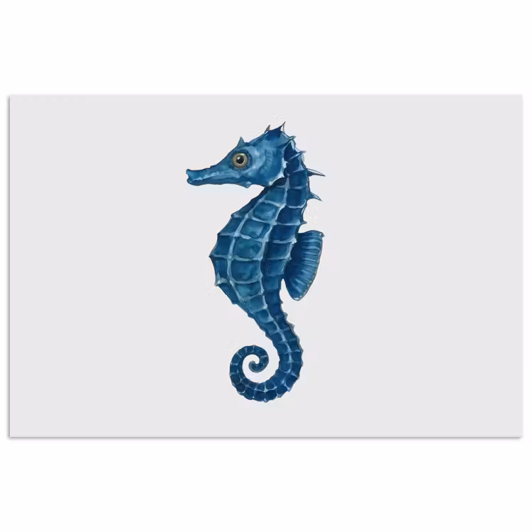 Poster - Zeepaardje - Staart - Blauw — 1