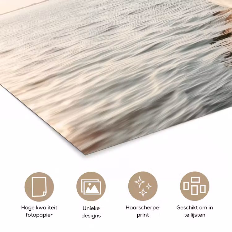 Poster - Zeilboot - Zee - Beige - Zon — 5