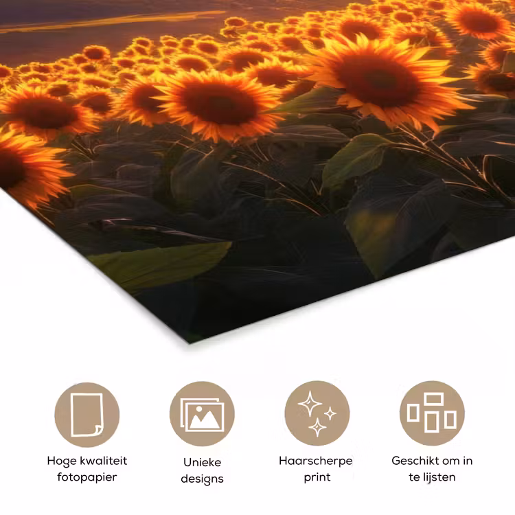 Poster - Zonnebloemen - Zonsondergang - Landschap — 5