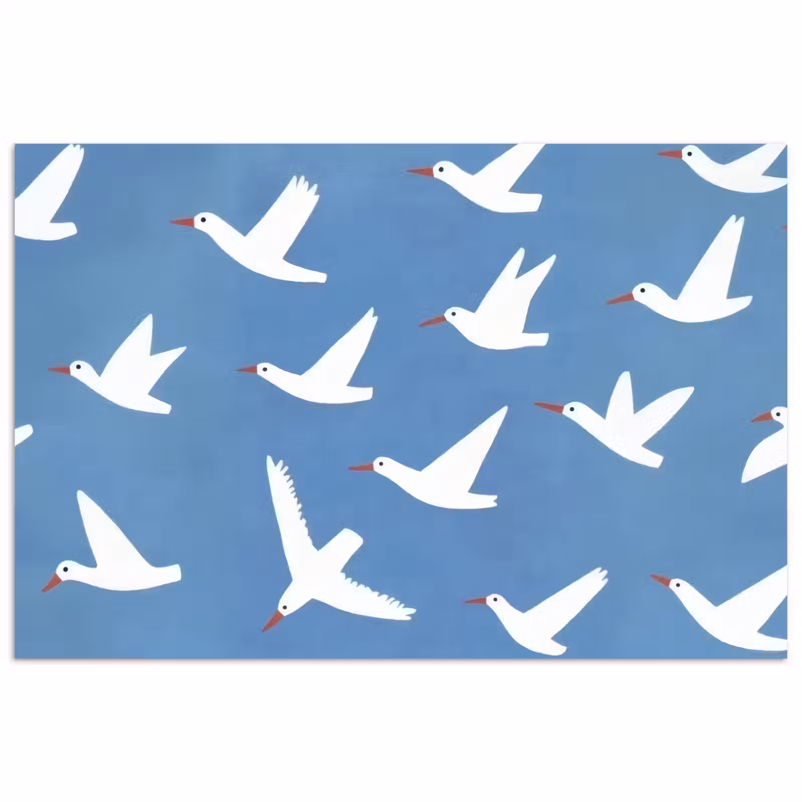 Poster - Vogels - Wit - Patroon — 1