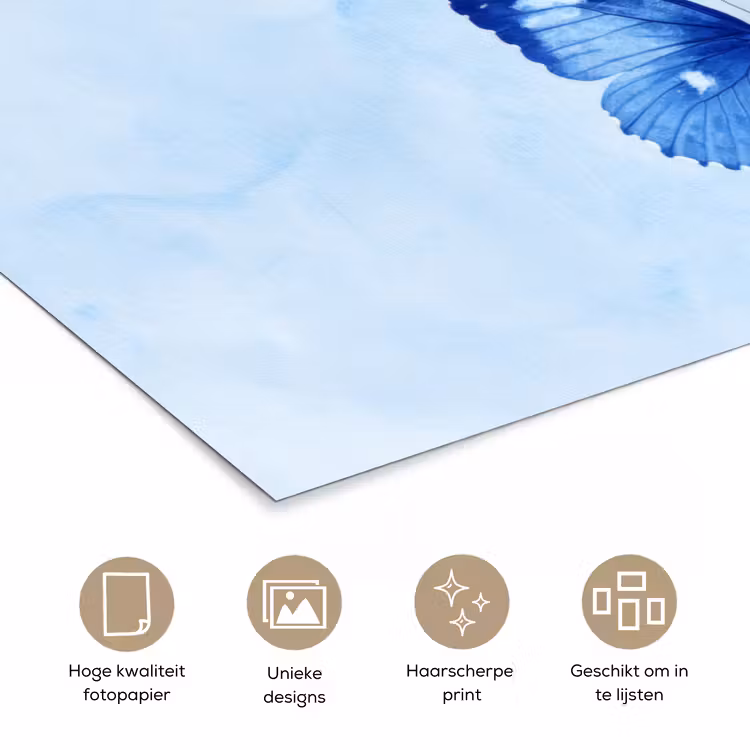 Poster - Vlinders - Sierlijk - Blauw — 5