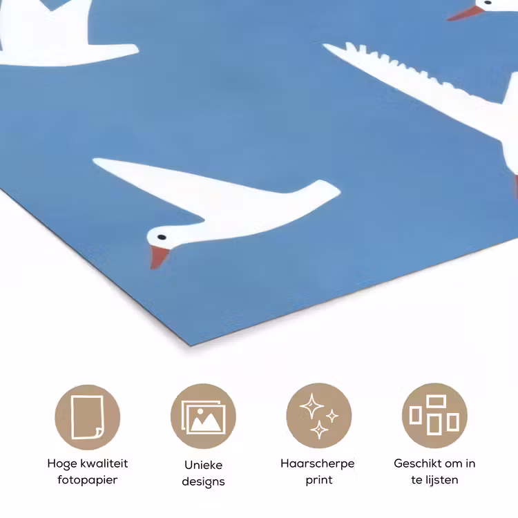 Poster - Vogels - Wit - Patroon — 5