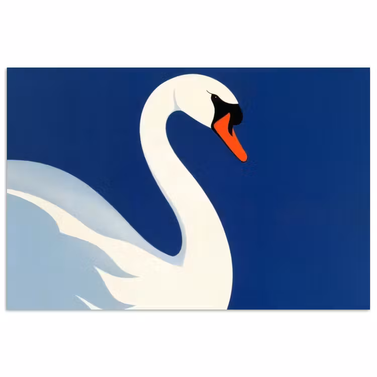Poster - Zwaan - Wit - Snavel - Illustratie — 1