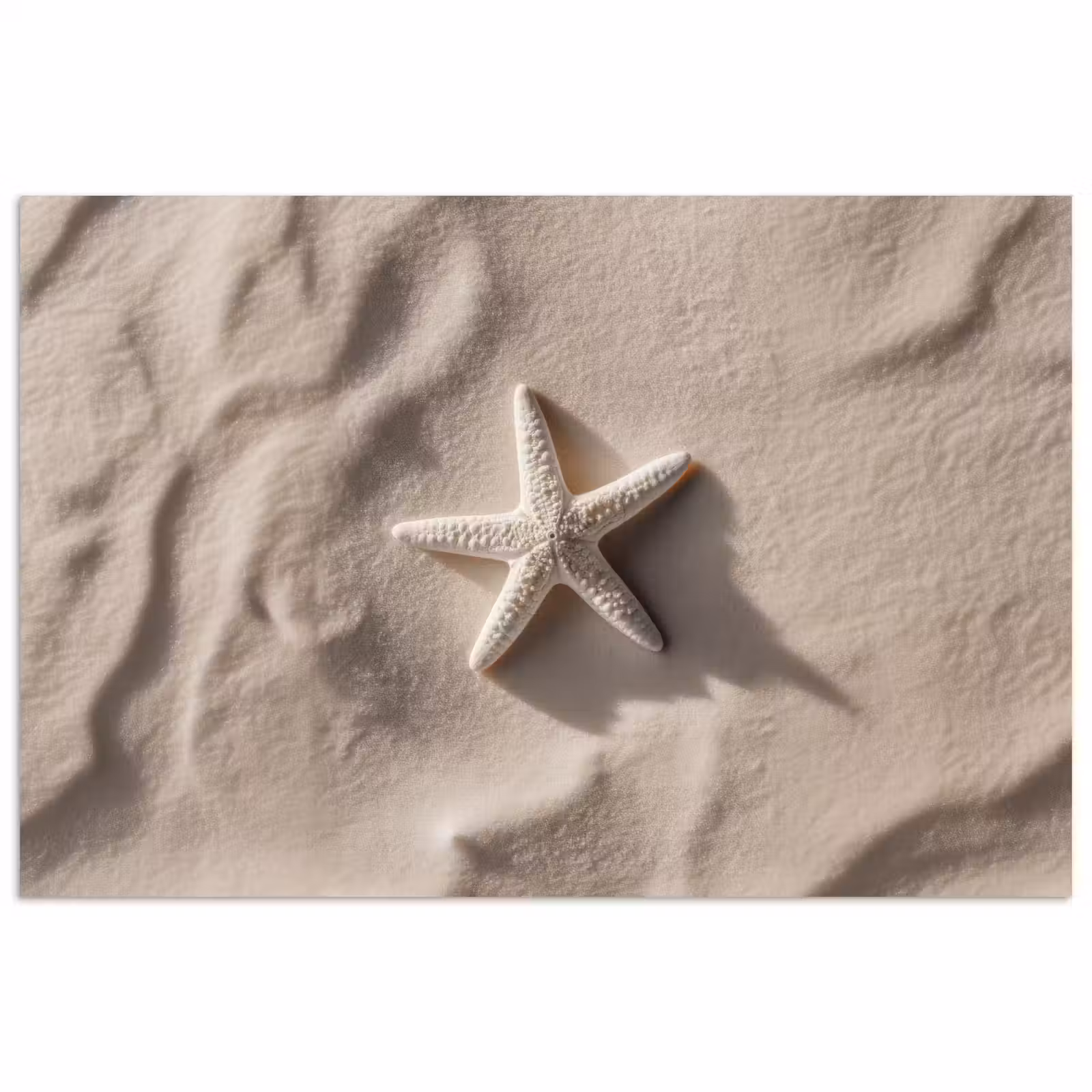 Poster - Strand - Zeester - Zand - Beige — 1