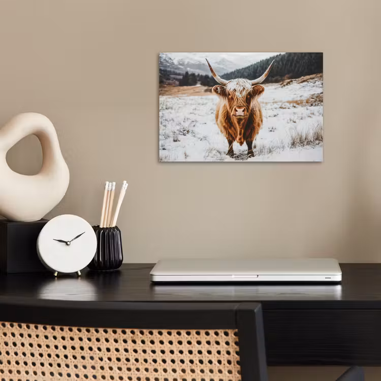 Poster - Schotse Hooglander - Sneeuw - Winter - Dieren — 2