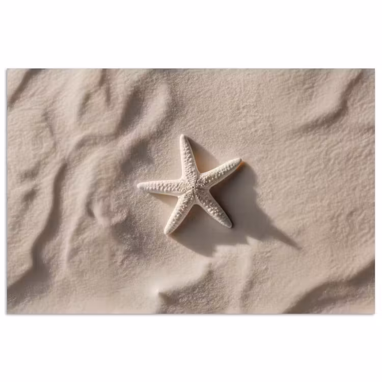 Poster - Strand - Zeester - Zand - Beige — 1