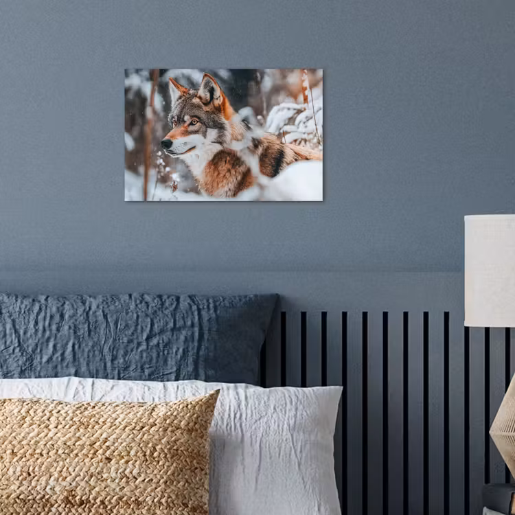 Poster - Wolf - Sneeuw - Winter - Dieren - Natuur - Sneeuw — 3
