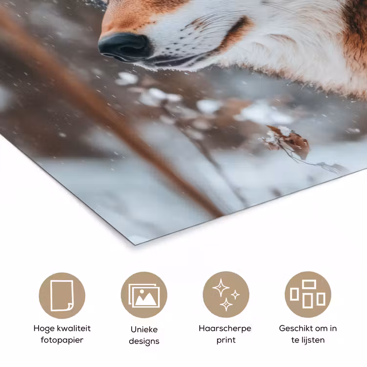 Poster - Wolf - Sneeuw - Winter - Dieren - Natuur - Sneeuw — 5